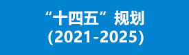 “十四五”規(guī)劃